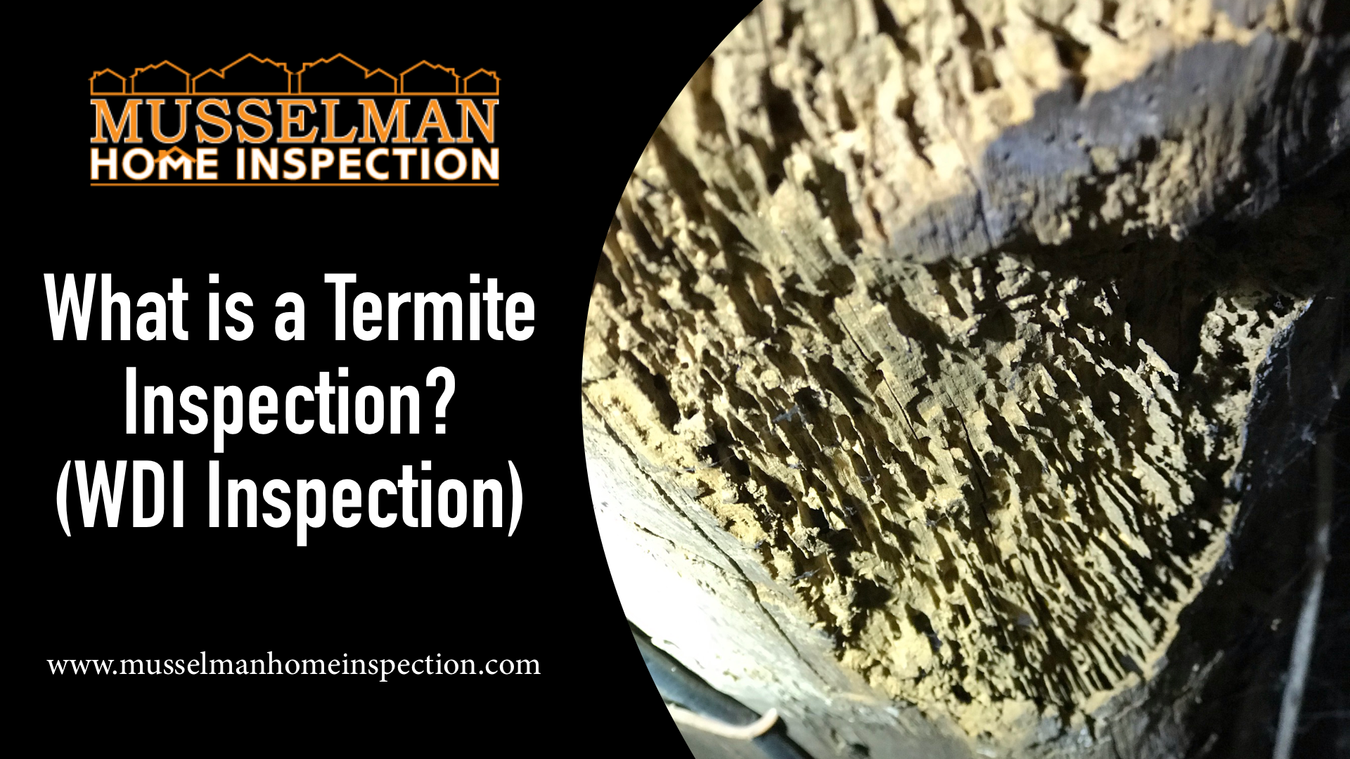 What exactly is a WDI? - Musselman Home Inspection