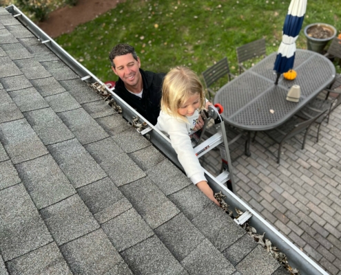 gutter cleaning